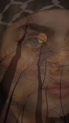 #LIVEIncentiveProgram #LIVEMonetization #PaidPartnership 