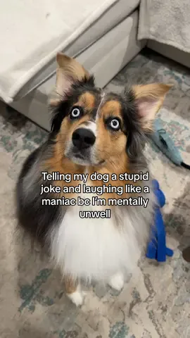 Tbh I don’t think she thought it was funny #foryou #foryoupage #fyp #aussie 