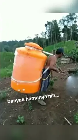 nyemprot ach...