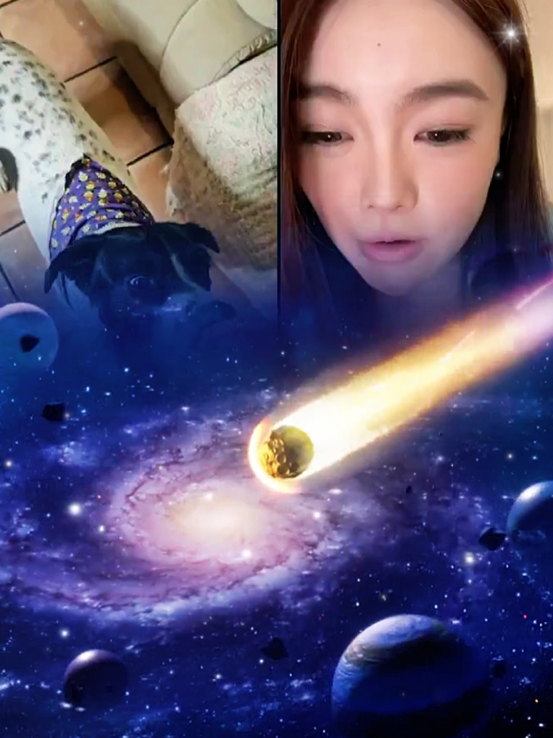 You are amazing! OllieBear🐾✨, thank you for the incredible support in the Star LIVE Campaign!  @OllieBear🐾✨ #tiktoklive #giftrush #pkstar #flyingjets #kimbaandfriends 