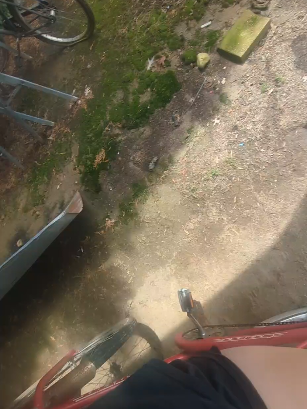 It's true  #fypシ゚viral #draft #spamaccount #fyp 