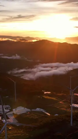 Không cần hứa hẹn gì đâu, chỉ cần hôm nay ta còn thương nhau là đủ