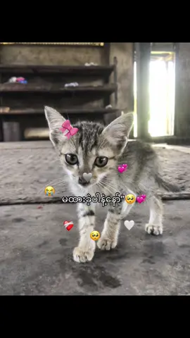 🥺🫶🏻🥀#foyyyyyyyyyyyyyyy #fyp #fpy #foryou 