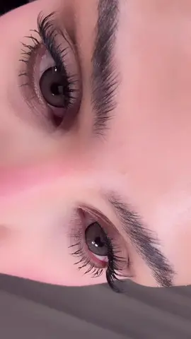 براوني 🤎🤎