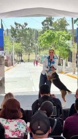 Cuando tú intentas ser formal en el evento… pero tu nuevo amigo tiene otros planes 😂🐾 #perros #PerrosFelices 