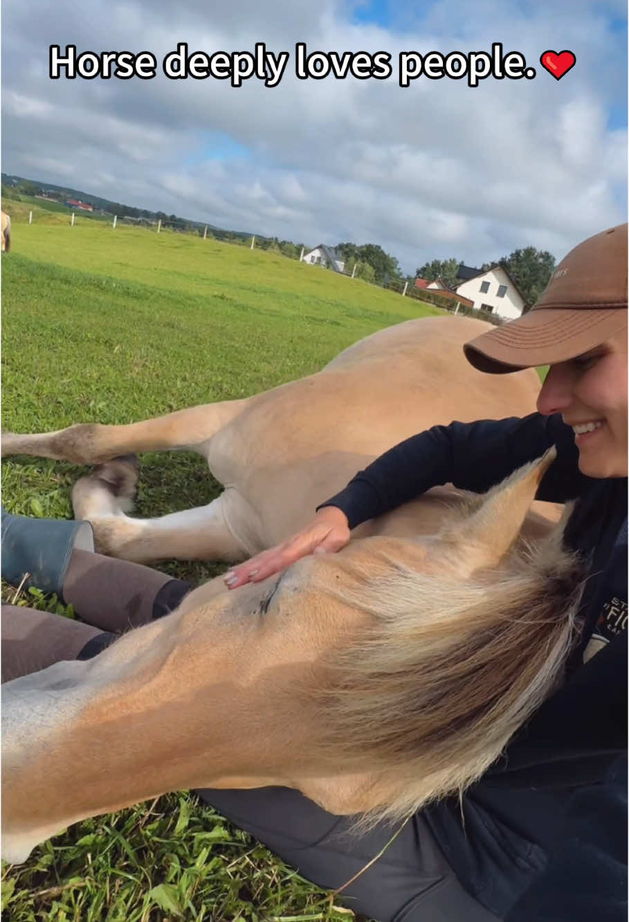When trust is bigger than fear 🐴❤️#horse#Love#funnyanimals#fyp#texas 
