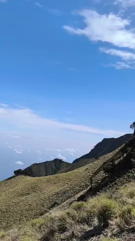 indahnya tiada dua😍#merbabuviaswanting #gunungmerbabu #merbabumountain #fyp #gunungindonesia 