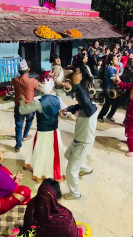 यो हो सस्कृति दिपाबलि बिसेस#viral #fyp #@Aayusha ♥️ @volleyball lovers @Ajay thapa 