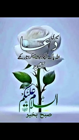 #morning dua #🌺🥀☕️#پاُگل لڑکی #