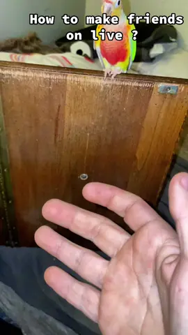 #PaidPartnership #MakefriendsLIVE #LIVEIncentiveProgram 