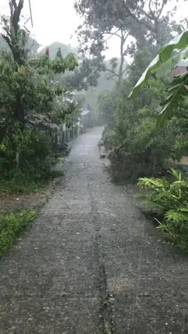 Suasana hujan deras di pedesaan.