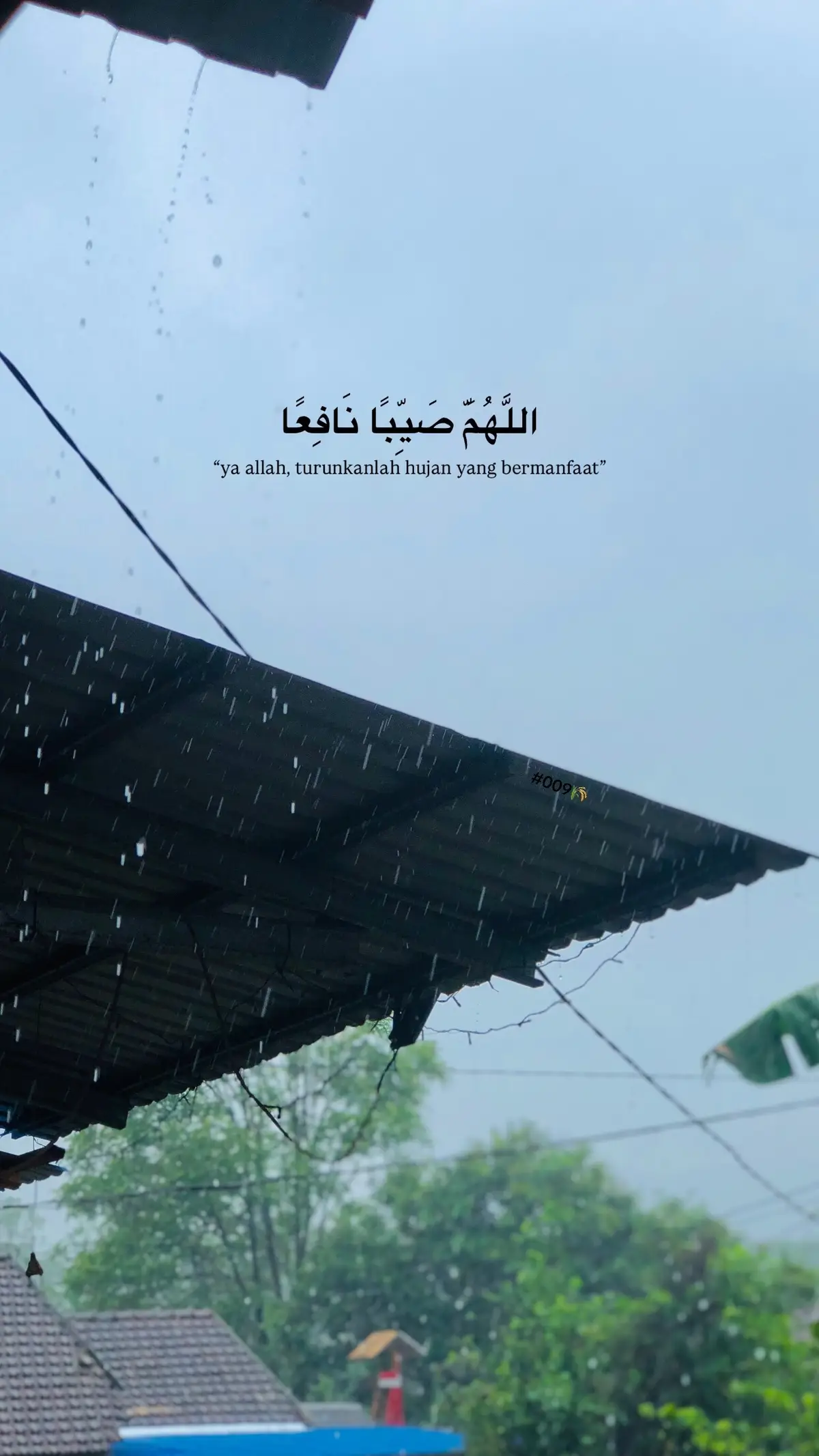 🤲🏼#009🌾 