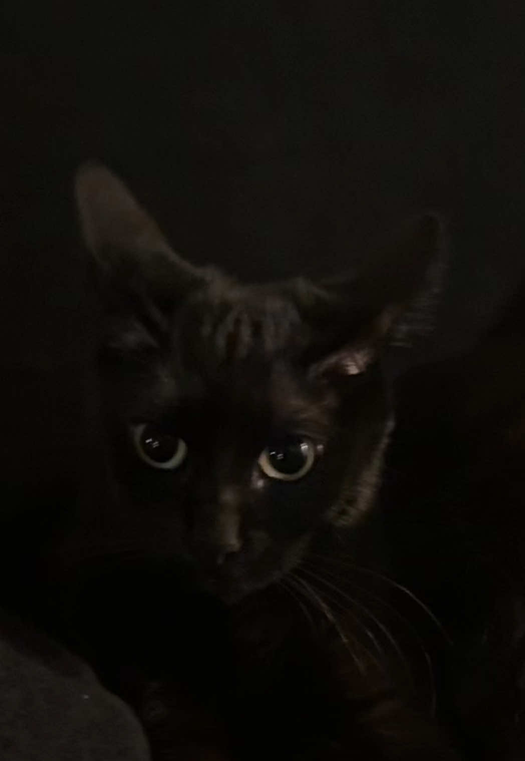 i’m suprised he reacted at all