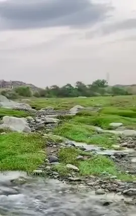 #في هذا اليوم 