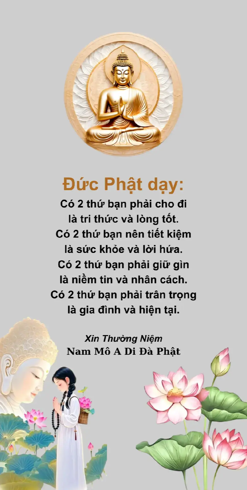 #loiphatday #tamansongvui #phatphap #phatphapnhiemmau #ynghiacuocsong 