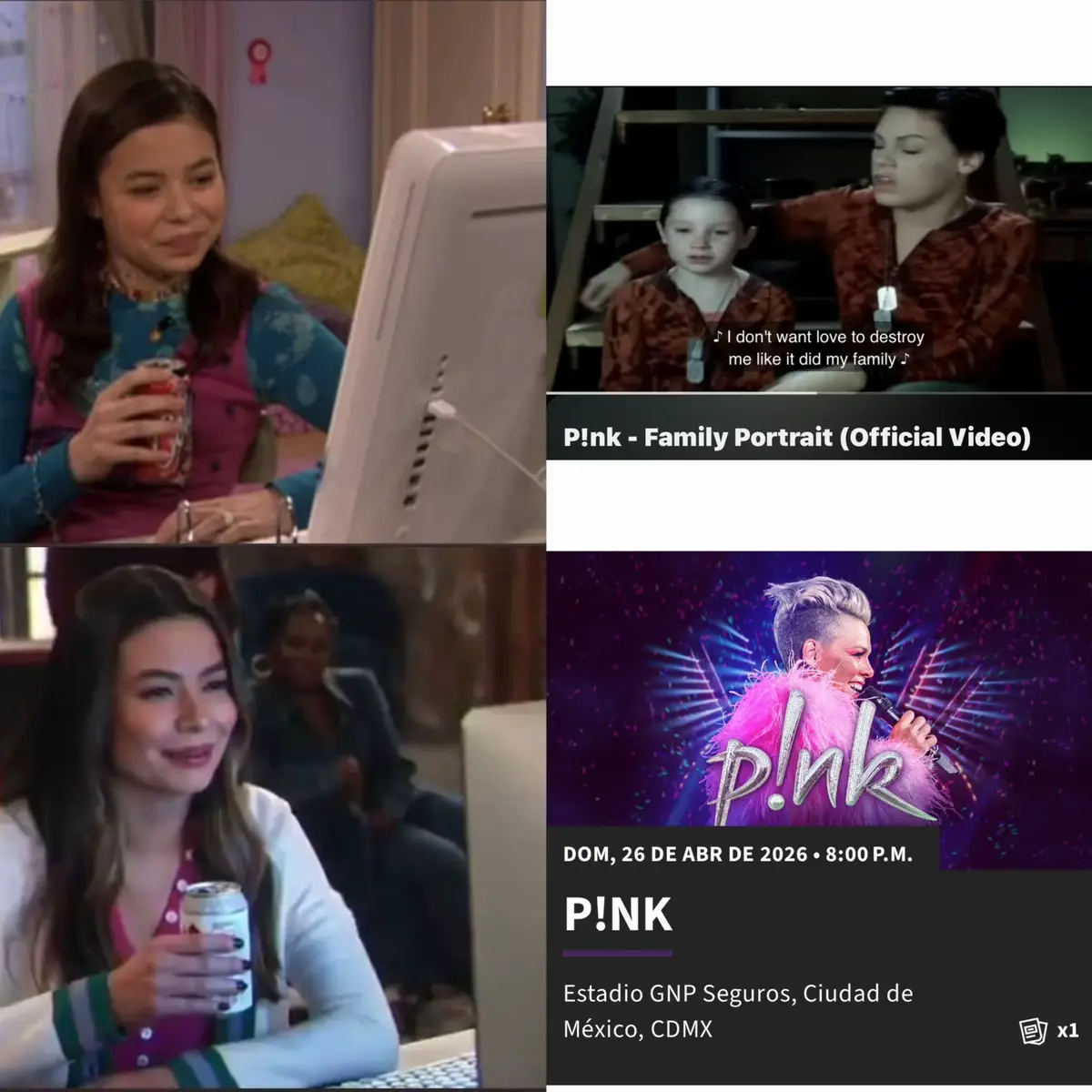 2007 cuando descubrí la música de P!nk 2026 estaré en su concierto Mi cantante favorita por siempre. #pink #carnivaltour #estadiognp #like 