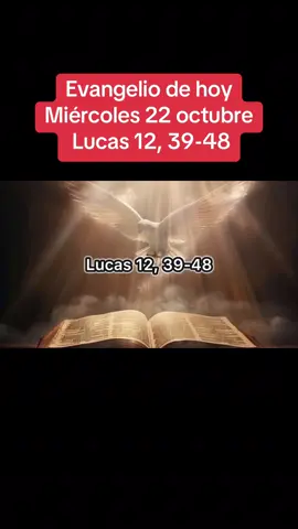 Evangelio de hoy miércoles 22 octubre 2025 #evangeliodehoy #evangelio #dios 
