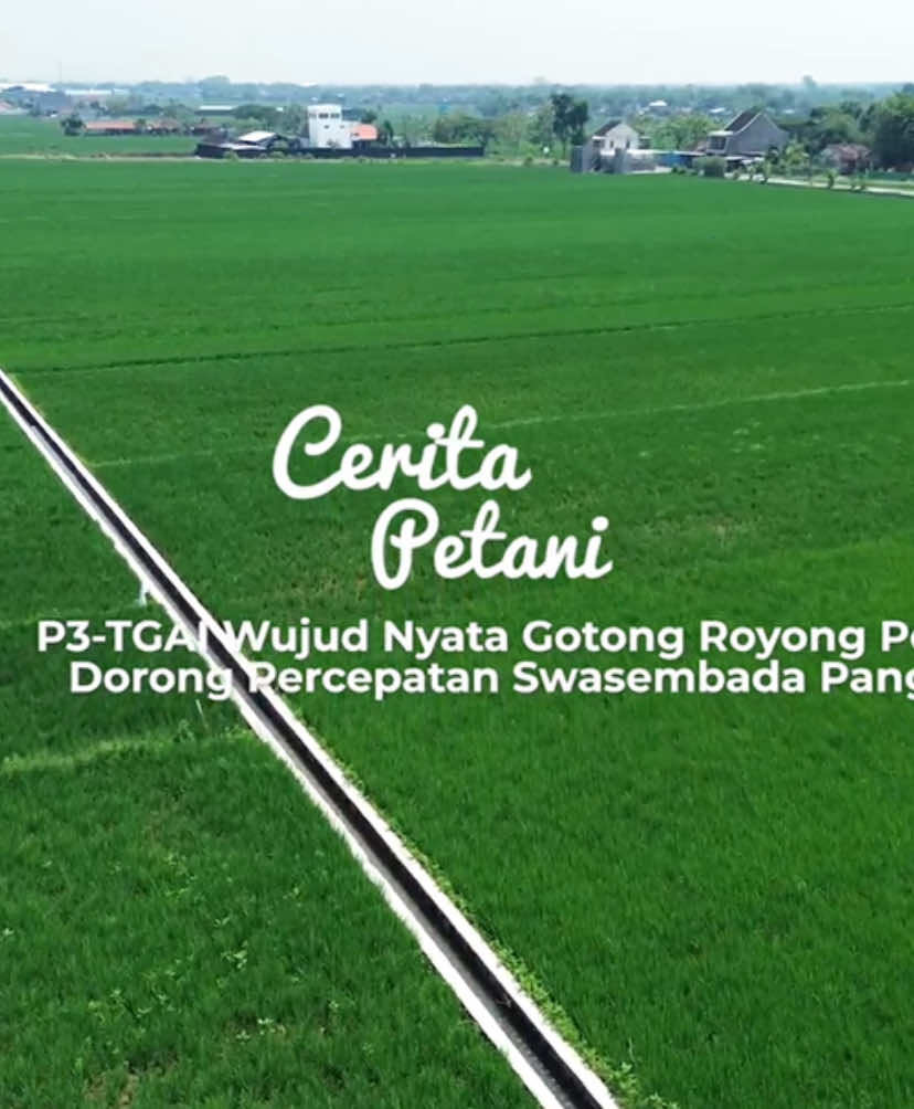 Menteri PU, Doddy Hanggodo menyampaikan bahwa percepatan pembangunan jaringan irigasi ini merupakan tindak lanjut arahan Presiden Prabowo Subianto agar setiap bendungan dapat segera memberi manfaat nyata bagi ketahanan pangan nasional.  Selain itu, kegiatan ini sebagai upaya optimalisasi pemanfaatan lahan pertanian melalui pengelolaan air yang efisien dan berkelanjutan. Dukungan swadaya masyarakat menjadi wujud kolaborasi nyata dalam mewujudkan ketahanan pangan nasional. @Kementerian PU  @pu_sda  #SigapMembangunNegeriUntukRakyat #MengelolaAirUntukNegeri #IrigasiUntukSwasembadaPangan #SetahunBerdampak #BBWSBS