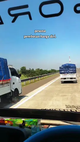 perebutan harga diri 🤪#romansasupirtraga #fresh_mango🥭 #rakyat_trans #viraltiktok #fyp 