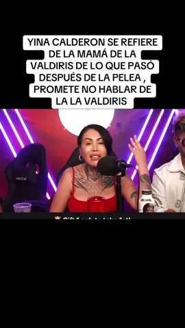 YINA CALDERON SE REFIERE DE LA MAMÁ DE LA VALDIRIS DE LO QUE PASÓ DESPUÉS DE LA PELEA , PROMETE NO HABLAR DE LA LA VALDIRIS  #tendencia #tiktokviral #andreavaldiri #yinacalderonoficial #streamfighters 