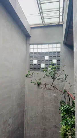 Chỉ cần một ô giếng trời và chút gió, đủ để thấy cuộc sống dịu dàng hơn, đóng cửa tránh bão số 12 #houseoftiktok #mygauhouse #garden #tree #petlover 