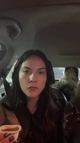 McDonald’s car mukbang