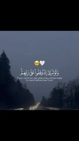 (ولو_ترى_إذ_وقفوا_على_ربهم ) تلاوة خاشعة #القرآن_الكريم #سورة_الانعام #ياسر_الدوسري #اكسبلور #fyp 