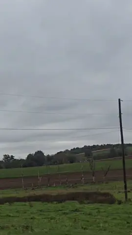 Ray de la paz - El #salsabaul #salsa #letras #dedicasela #tiktokmusic 