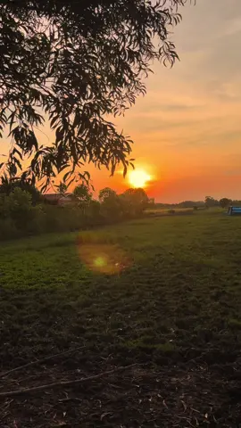 บรรยากาศตอนเช้า🌾🌄#ธรรมชาติบ้านนอก🌄🍃 #ยืมลงสตอรี่ได้นะ #วิวบ้านนอก🍃 #หนองบัวลำภู #อีสานบ้านเฮา 