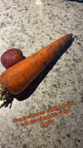 #caldoderes #caldito #res #family #zanahoria