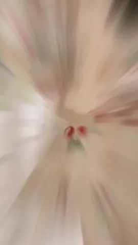 Stefany Setelan Lengan Panjang Celana Premium ...Dapatkan di Shopee sekarang! https://s.shopee.co.id/7fROQksNkT Open Jastip...klik link yang ada di bio untuk pemesanan  #jastipindotaiwan #jastiptaiwanindo  #reservasihoteltaiwan  #pusatskincare  #pusatjajanimport 