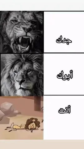 😹😹#اكسبلور #creatorsearchinsights #اكسبلور #creatorsearchinsights 