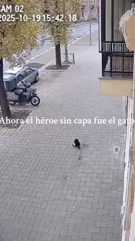 #Ogbeeselmundo 