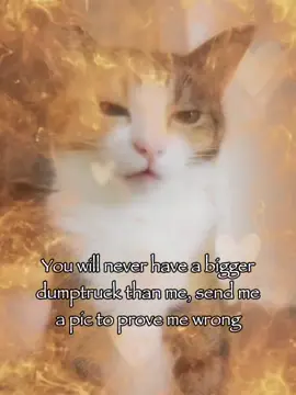 Send me a pic...😜😜#cattok #rizz #relatable #meme #joke 