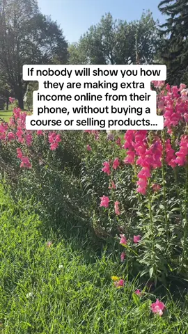 #additionalincome #easysidehustle #sidehustlesthatwork #sidehustlesecrets #makingmoneyonline 