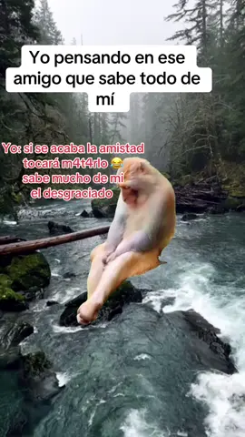 #Meme #MemeCut 
