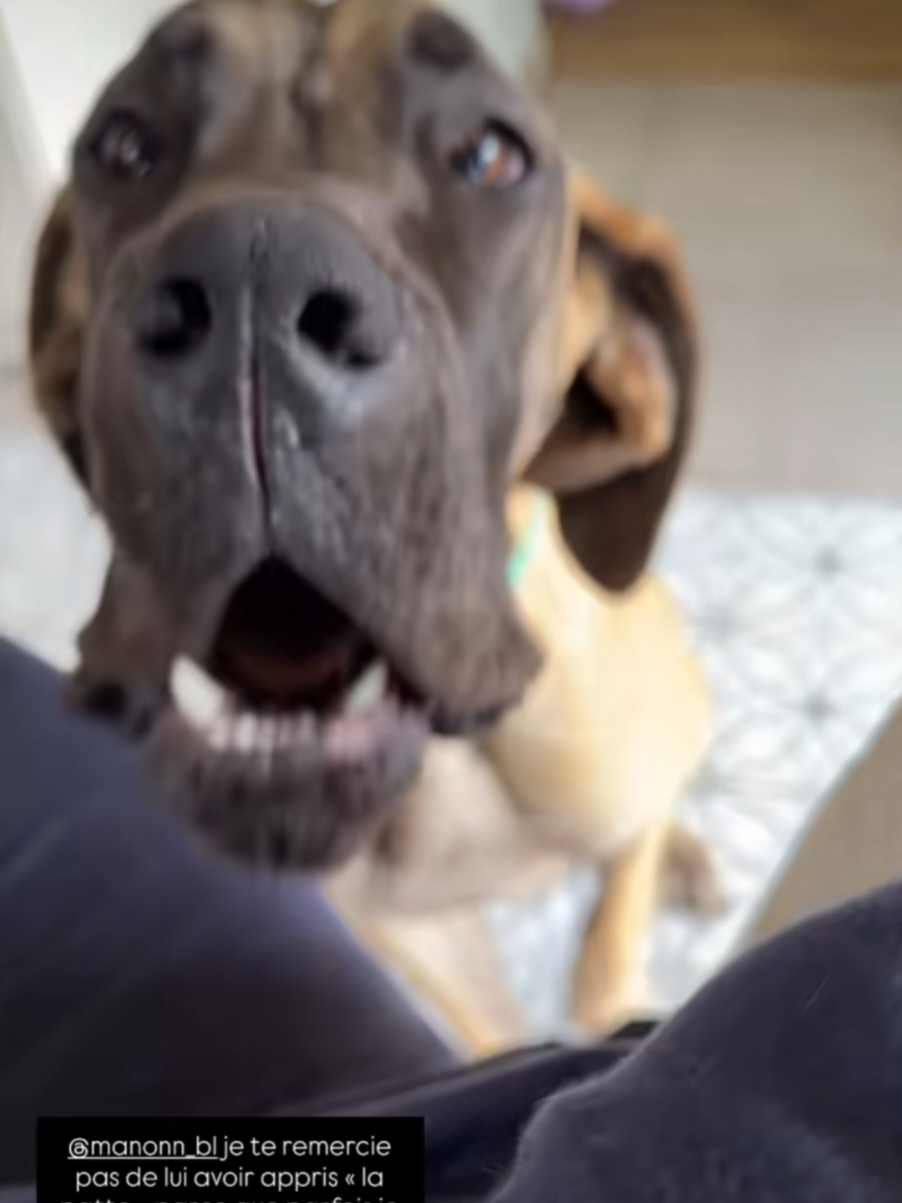 Pamela et Athena @Noholito #noholito #fyp #pamela 