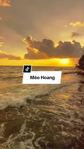 Có phải đêm buồn  #nhachaymoingay  #xuhuong2025  #foyou  #fpy  #phamkhai94_ 