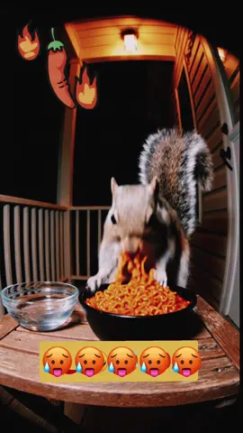 Chipmunk And Animals Can’t handle spicy 