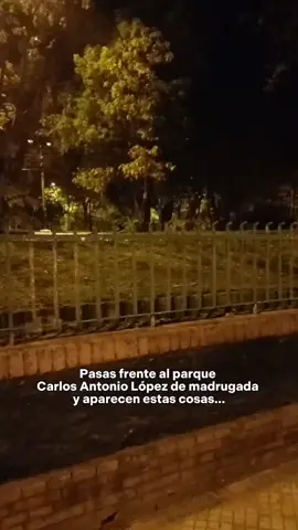 La novia fantasma que ustedes dicen que es Lía Love #fantasma #terror #novia #asuncion #miedo