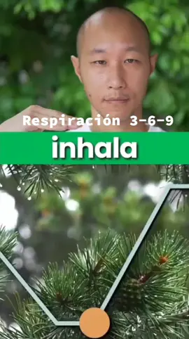 #respiracion  #vibrandoalto33 #despertarespiritual  #yoga  #vibrandoalto 