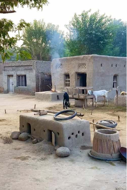 گاؤں کی صبح #villagelife #rahatamir 