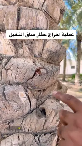 #جده_الكورنيش_الواجهه_البحريه #ضهران_الجنوب_نجران_جيزان_ابها_عسير_بيشه ابو عسكر#ابو عسكر#الخليج_الكويت_السعودية_قطر_البحرين #الممملكه_العربيه_السعودية🇸🇦 