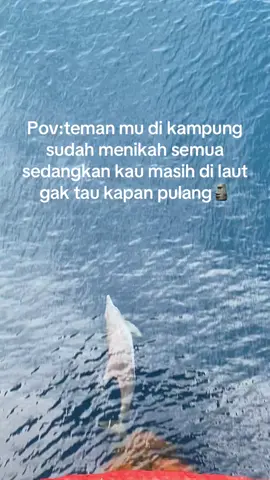 mana ada yang sdh jadi janda lagi😂 #seamanlife #foryoupage #lumbalumba #indonesia🇮🇩 