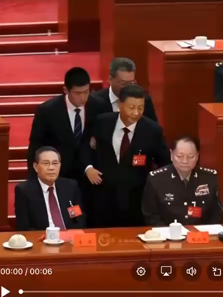习包子终于像胡锦涛一样被架走了，包子的肉要移植了吗#funney #chinese #world #Interesting #instagram #china #fun #台湾