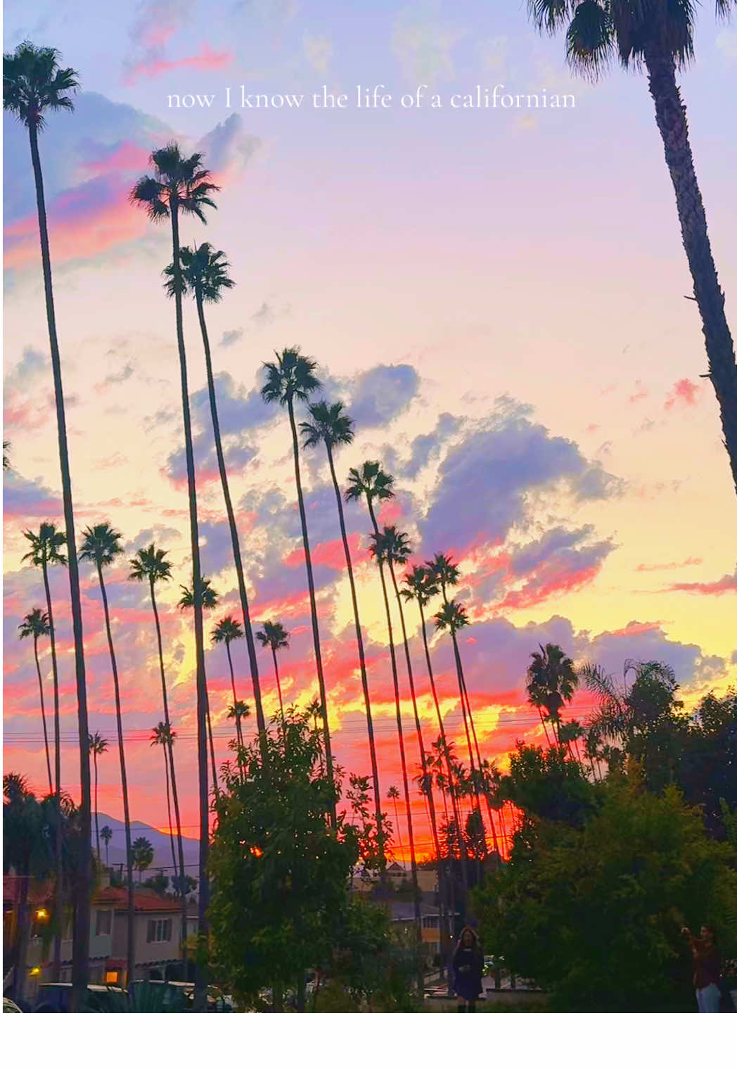 and I wouldn’t have it any other way 🌴 #taylorswift #taylornation #californiasunsets #california #lifeofashowgirl @Taylor Swift @Taylor Nation 