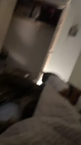 Purrfectly cut off video caught on SnapChat 😆 #catdad #catsoftiktok 