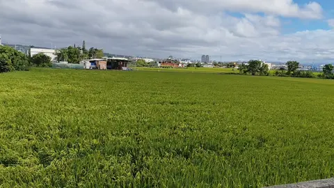 #fyppppppppppppp  MAHA SUCI ALLAH, TUHAN SELURUH ALAM. #taifongtaiwan 