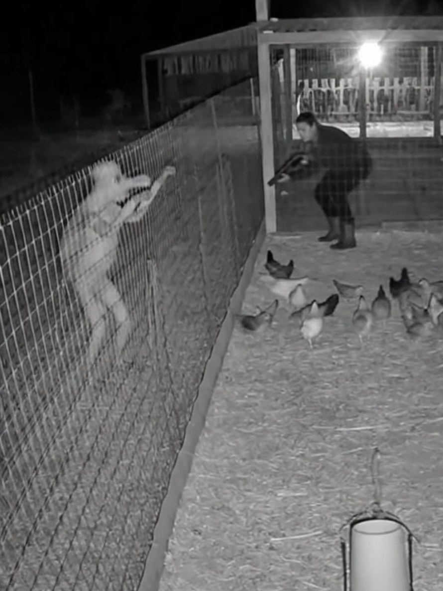 Mulher de coragem! #viral #alien #cometa #ia #mulher 