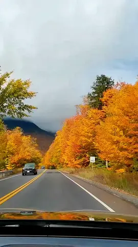 Autumn fall drive road trip #autumn #fall #october #roadtrip #truenature 